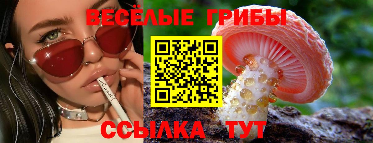Октябрьский  Псилоцибиновые грибы Psilocybe  Галлюциногенные грибы ЛСД  Вход с VPN 